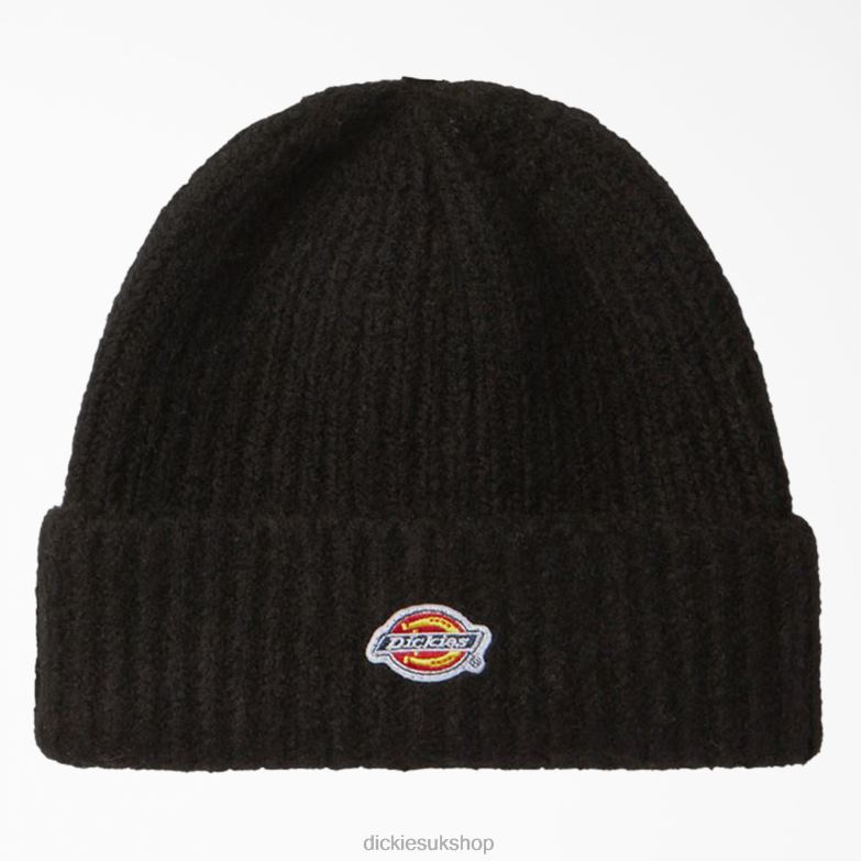 Brewton Beanie Unisex Dickies Black (BK) 88T842815 Accessories