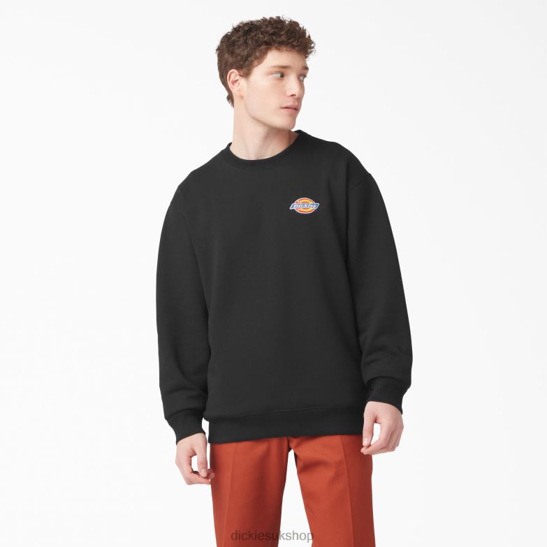 Fleece Embroidered Chest Logo Sweatshirt Men Dickies Regular 88T841132 Apparel