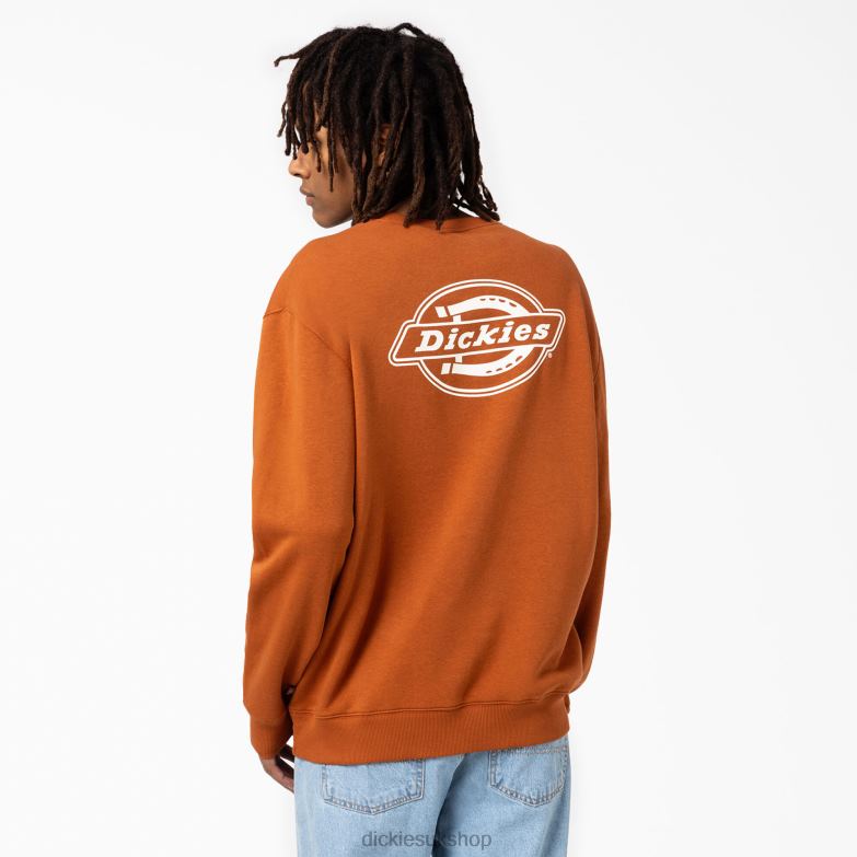 Holtville Sweatshirt Men Dickies Regular 88T841095 Apparel