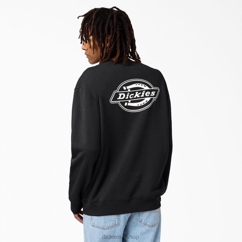 Holtville Sweatshirt Men Dickies Regular 88T841096 Apparel