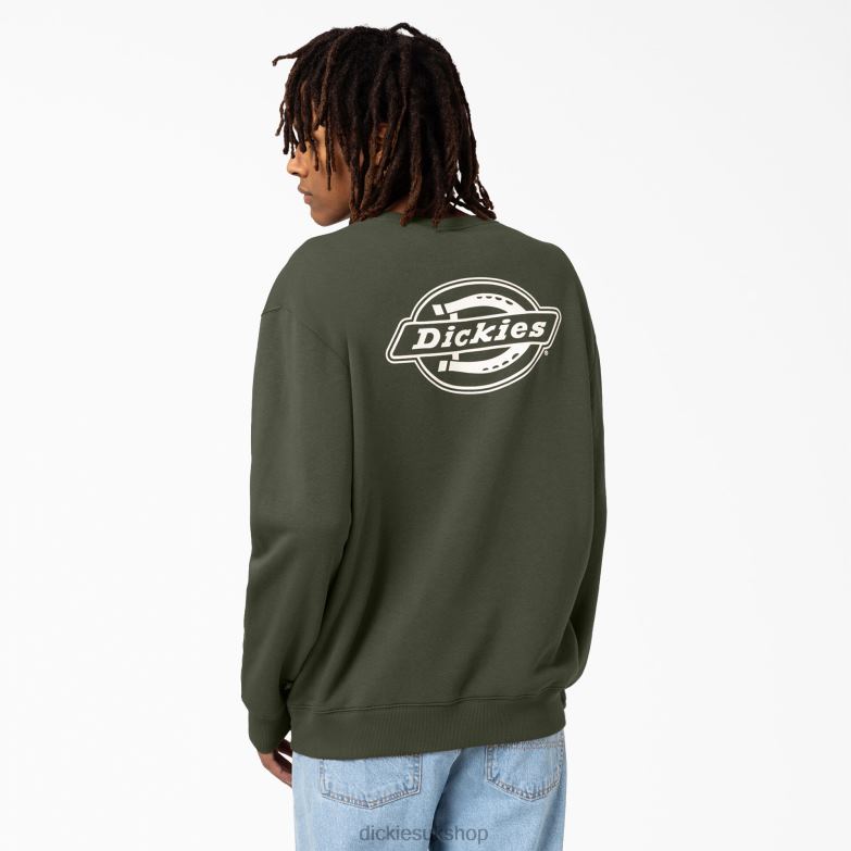 Holtville Sweatshirt Men Dickies Regular 88T841097 Apparel