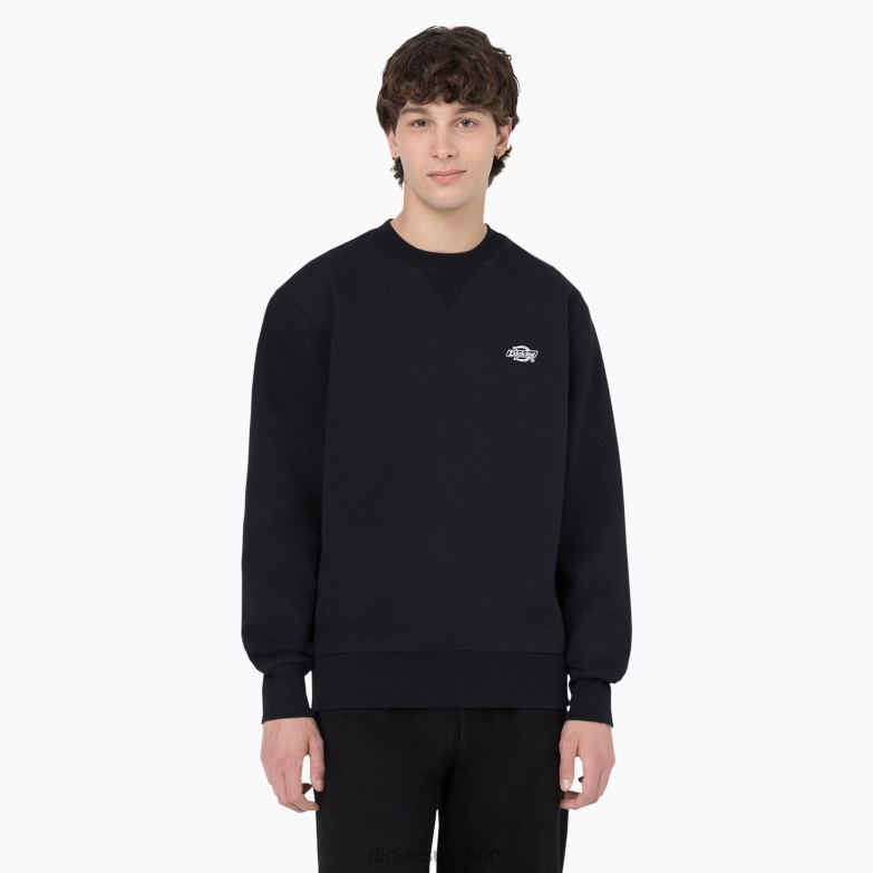 Summerdale Sweatshirt Men Dickies Black (KBK) 88T84975 Apparel