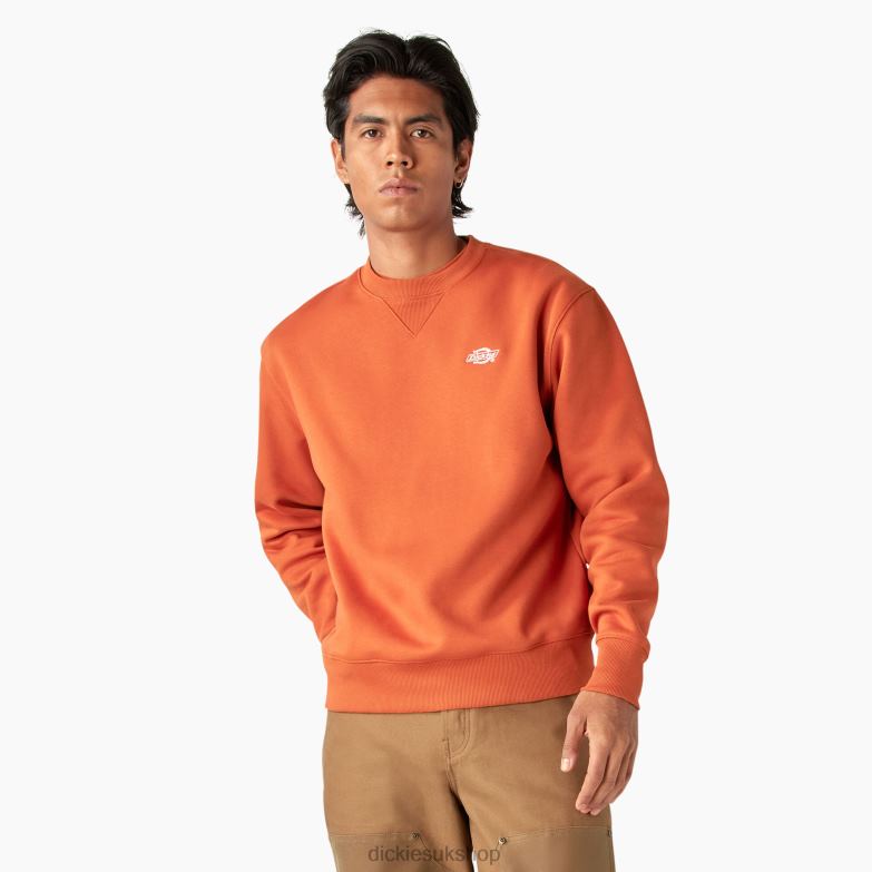 Summerdale Sweatshirt Men Dickies Bombay Brown (B2B) 88T84973 Apparel