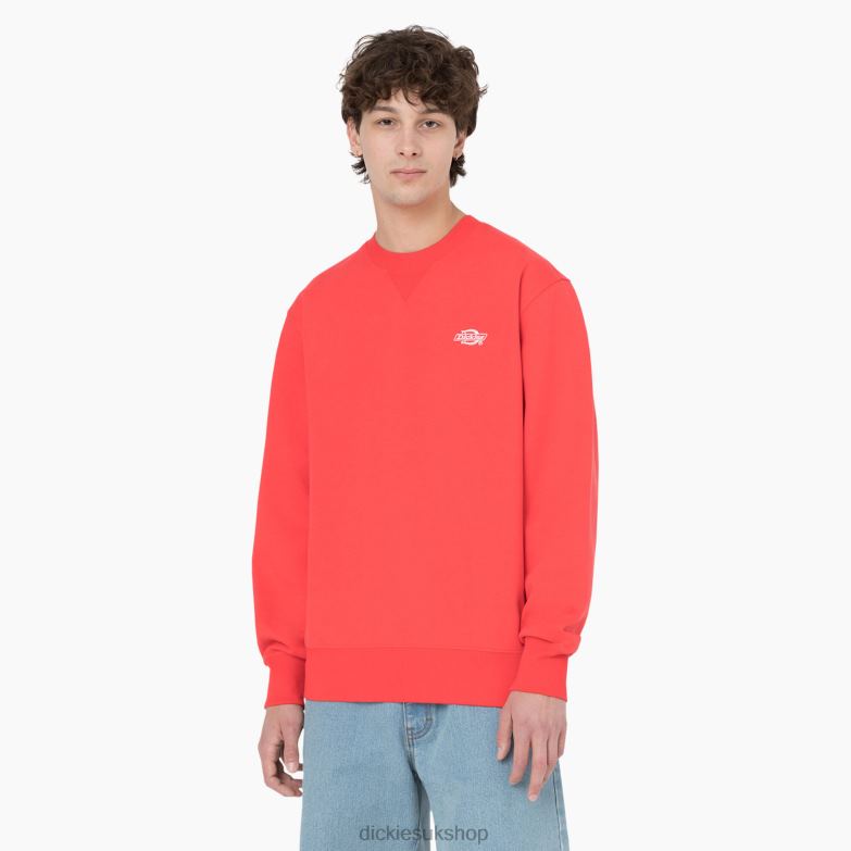 Summerdale Sweatshirt Men Dickies Scarlet Ibis (S2S) 88T84976 Apparel