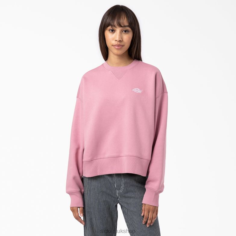 Summerdale Sweatshirt Women Dickies Foxglove (F2G) 88T842292 Apparel